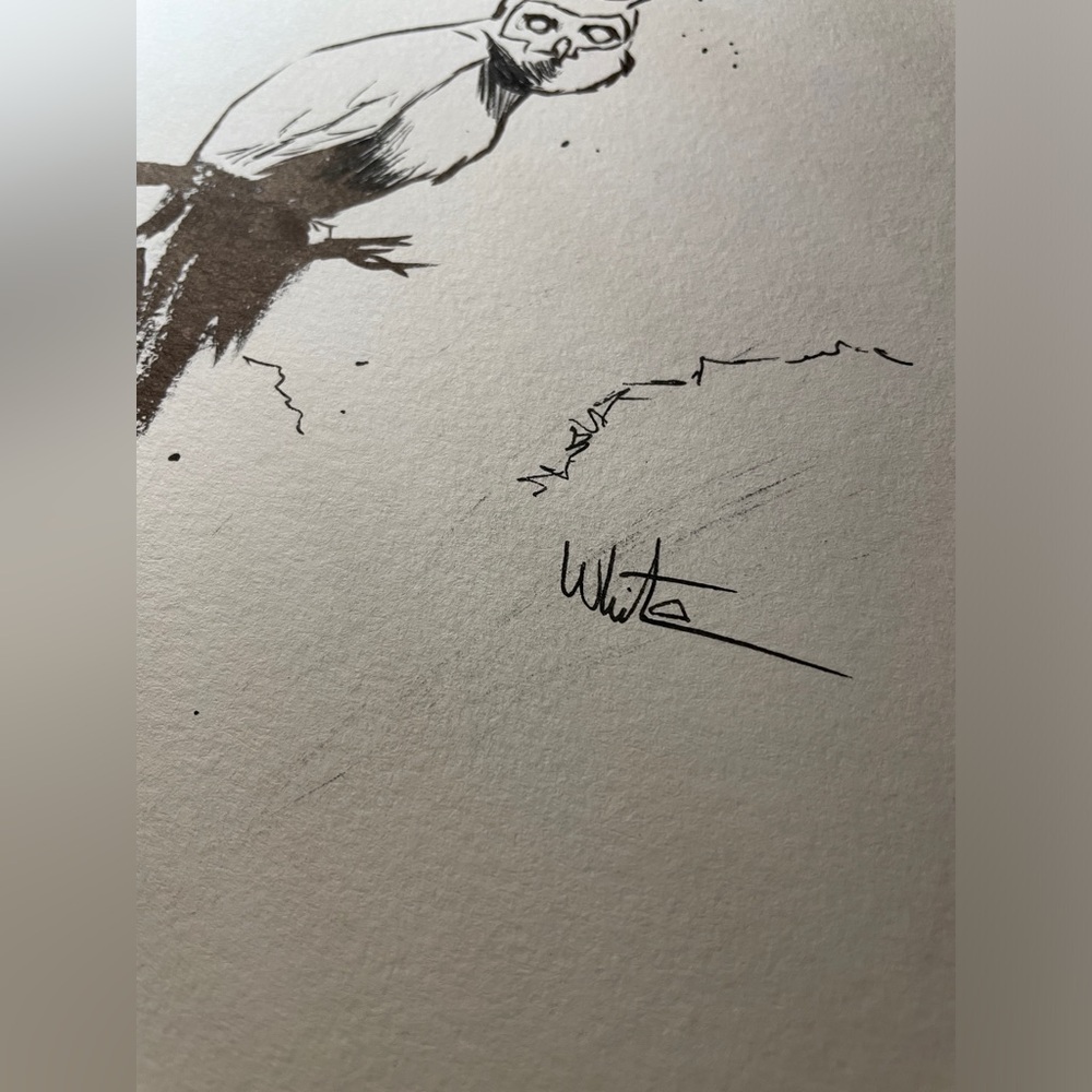 Owl Drawing Artwork - Picture 3 of 6